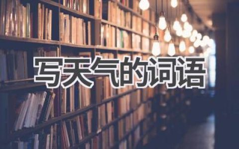 写天气的词语