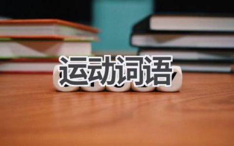 运动词语
