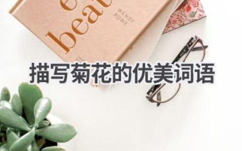 描写菊花的优美词语