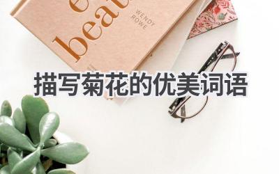 描写菊花的优美词语