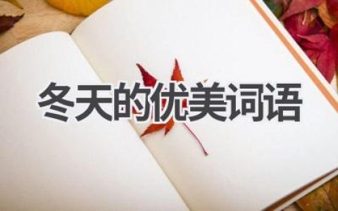 冬天的优美词语
