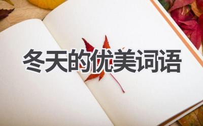 冬天的优美词语