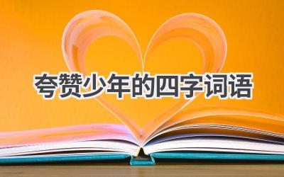 夸赞少年的四字词语