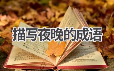 描写夜晚的成语