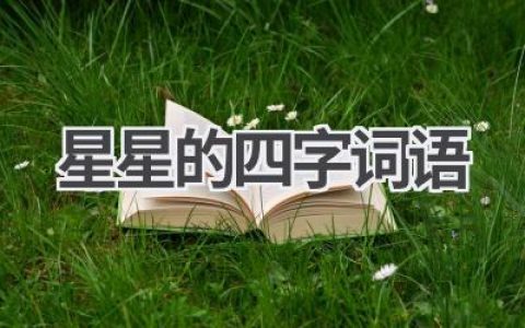 星星的四字词语