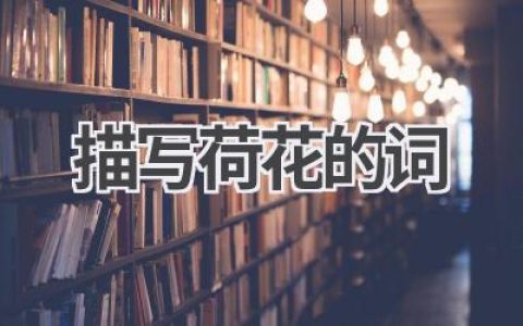 描写荷花的词