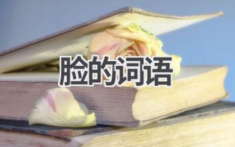 脸的词语