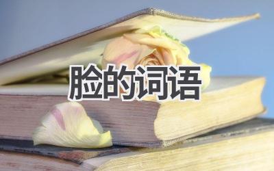 脸的词语