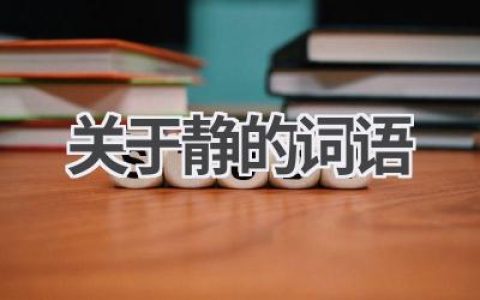关于静的词语