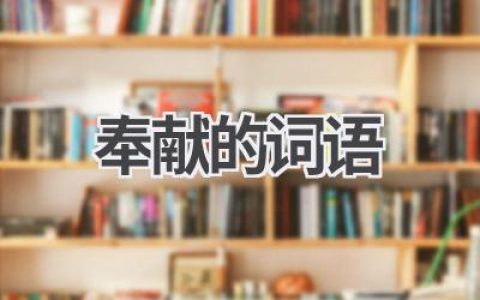 奉献的词语