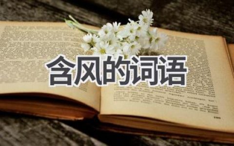 含风的词语