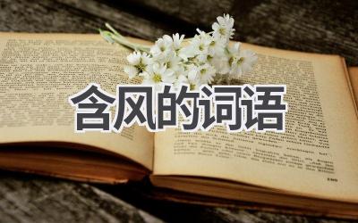 含风的词语