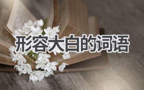 形容大白的词语