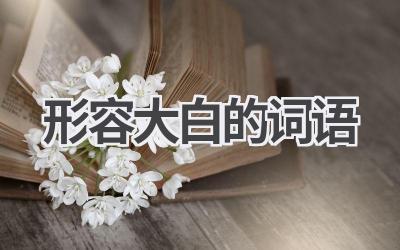 形容大白的词语