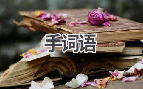 手词语