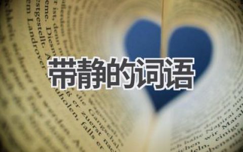 带静的词语