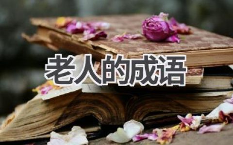老人的成语