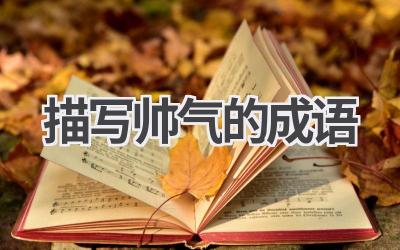 描写帅气的成语