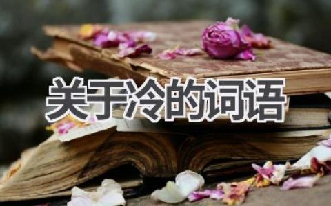 关于冷的词语