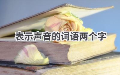 表示声音的词语两个字