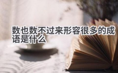 数也数不过来形容很多的成语是什么