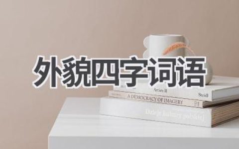 外貌四字词语