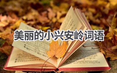 美丽的小兴安岭词语