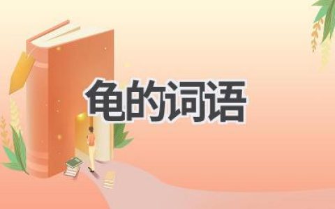 龟的词语