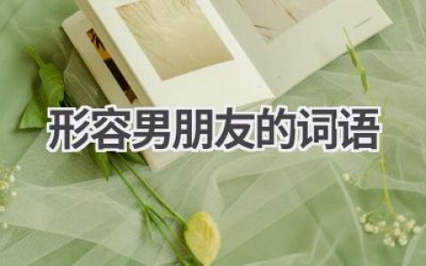 形容男朋友的词语