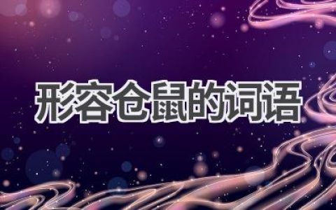 形容仓鼠的词语