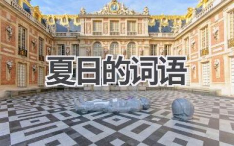 夏日的词语