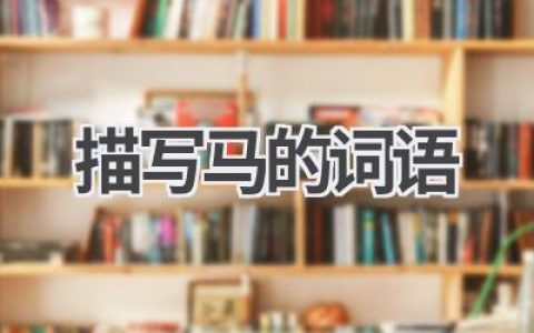描写马的词语