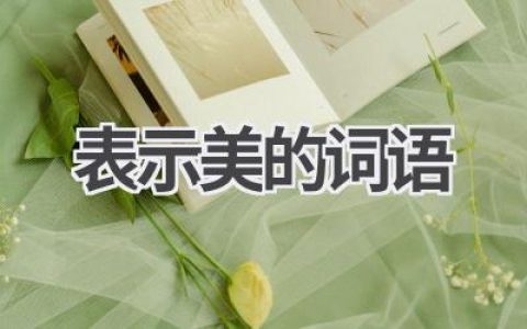表示美的词语