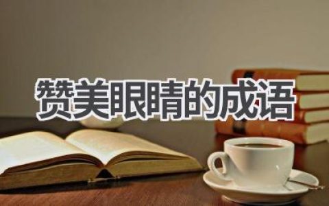 赞美眼睛的成语