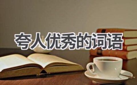 夸人优秀的词语