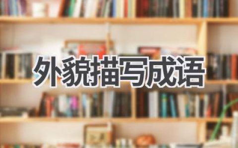 外貌描写成语
