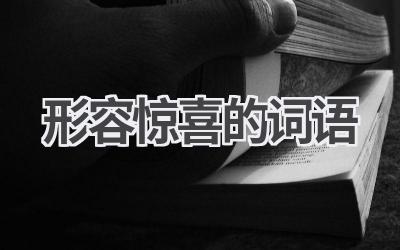 形容惊喜的词语