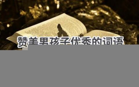 赞美男孩子优秀的词语