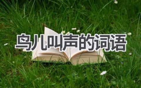 鸟儿叫声的词语