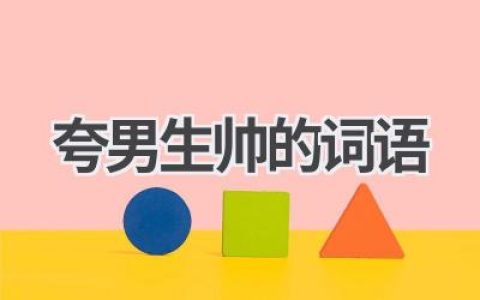 夸男生帅的词语