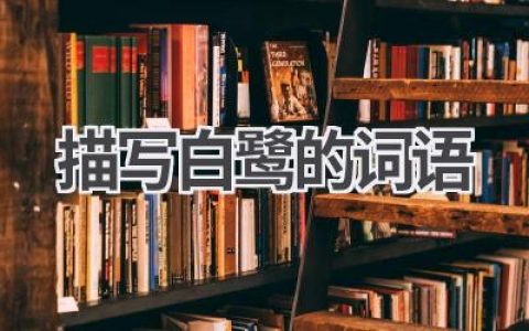 描写白鹭的词语
