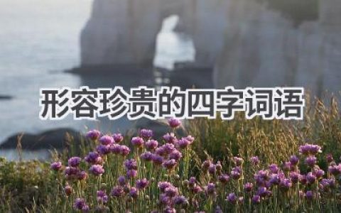 形容珍贵的四字词语