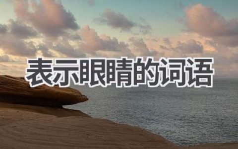 表示眼睛的词语