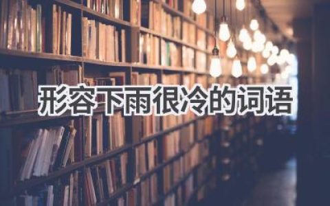 形容下雨很冷的词语