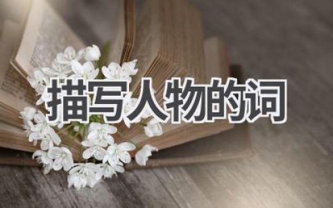 描写人物的词