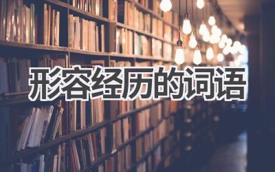 形容经历的词语