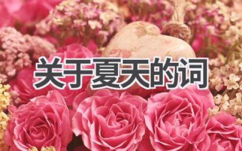 关于夏天的词