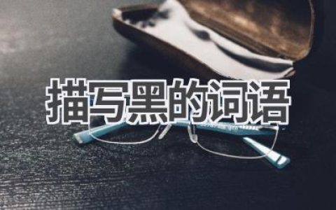 描写黑的词语