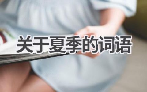 关于夏季的词语