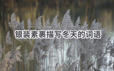 银装素裹描写冬天的词语